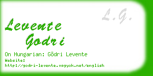 levente godri business card